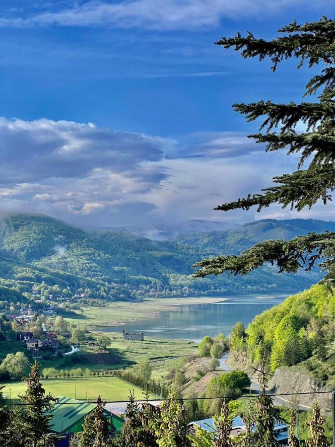 Lakeview Hotel & Apartments Mavrovo Bagian luar foto